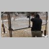 COPS Jan. 2021 Level 1 USPSA Practical Match _ Stage 3 _ New Year's Thieves _ w Justin Payne 3.jpg